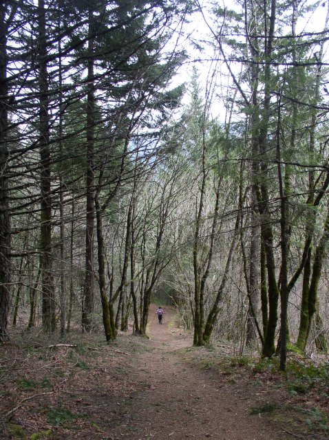 3.24.06 Dog Mountain 055 